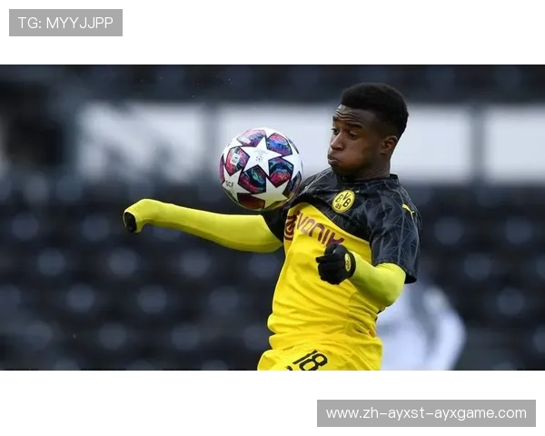 《德甲各支球队主要国脚球员介绍与国家队表现》