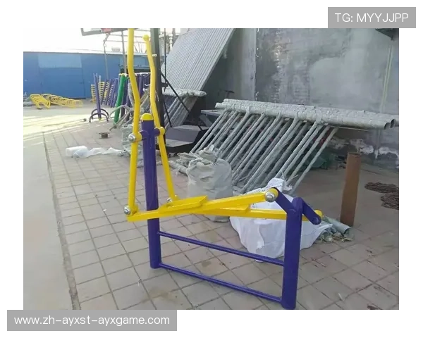 公园上下拉健身器材使用方法及其在体育运动中的实用价值